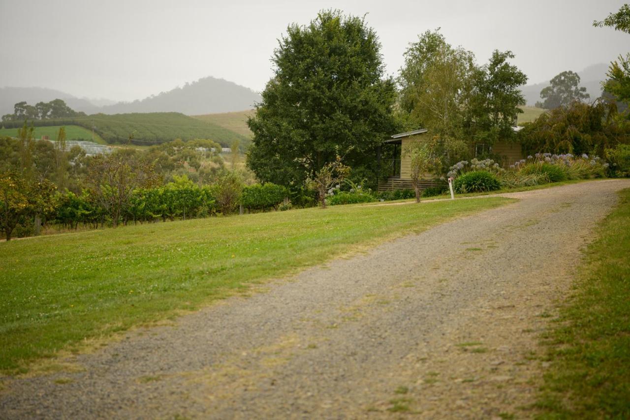 Borrodell Vineyard Hotel Orange Exterior photo