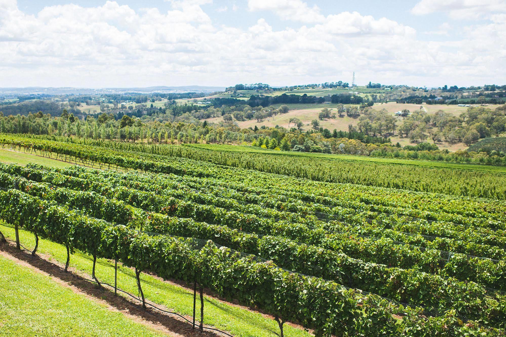 Borrodell Vineyard Hotel Orange Exterior photo